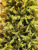 Árvore de Natal Pinheiro Realista New York – [EDIÇÃO LUXO + BRINDE EXCLUSIVO]